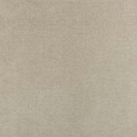 #10252 Serenity Safari